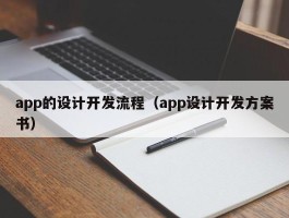 app的设计开发流程（app设计开发方案书）