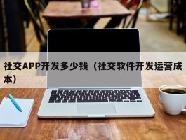 社交APP开发多少钱（社交软件开发运营成本）