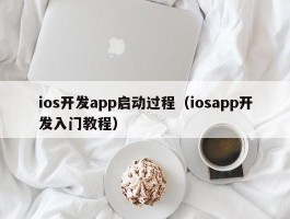 ios开发app启动过程（iosapp开发入门教程）