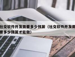 社交软件开发需要多少预算（社交软件开发需要多少预算才能做）