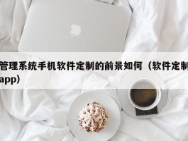 管理系统手机软件定制的前景如何（软件定制app）