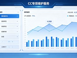 专业 CC 专项维护服务，让软件系统长效稳健无忧