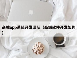 商城app系统开发团队（商城软件开发架构）