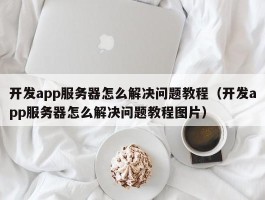 开发app服务器怎么解决问题教程（开发app服务器怎么解决问题教程图片）