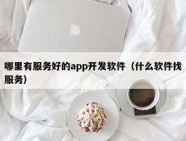 哪里有服务好的app开发软件（什么软件找服务）