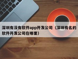 深圳有没有软件app开发公司（深圳有名的软件开发公司在哪里）