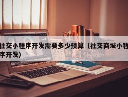 社交小程序开发需要多少预算（社交商城小程序开发）
