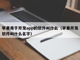 苹果用于开发app的软件叫什么（苹果开发软件叫什么名字）