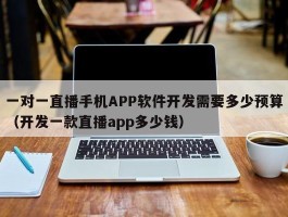 一对一直播手机APP软件开发需要多少预算（开发一款直播app多少钱）