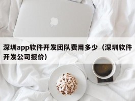 深圳app软件开发团队费用多少（深圳软件开发公司报价）
