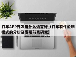 打车APP开发用什么语言好（打车软件盈利模式的分析及发展前景研究）