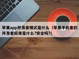 苹果app开发者模式是什么（苹果手机里的开发者应用是什么?安全吗?）