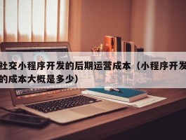 社交小程序开发的后期运营成本（小程序开发的成本大概是多少）