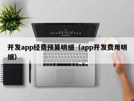 开发app经费预算明细（app开发费用明细）