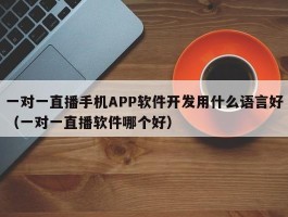 一对一直播手机APP软件开发用什么语言好（一对一直播软件哪个好）