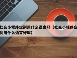 社交小程序定制用什么语言好（社交小程序定制用什么语言好呢）