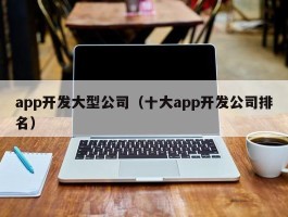 app开发大型公司（十大app开发公司排名）