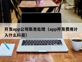 开发app公司账务处理（app开发费用计入什么科目）