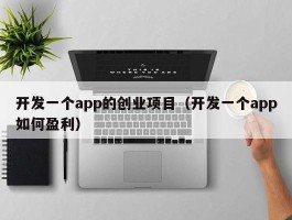 开发一个app的创业项目（开发一个app如何盈利）