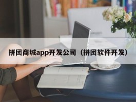 拼团商城app开发公司（拼团软件开发）