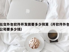 社交外包软件开发需要多少预算（开软件外包公司要多少钱）