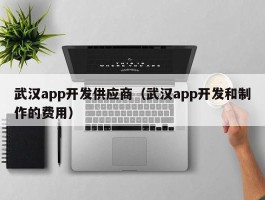 武汉app开发供应商（武汉app开发和制作的费用）