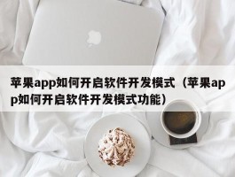 苹果app如何开启软件开发模式（苹果app如何开启软件开发模式功能）