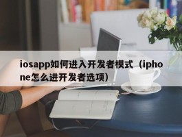 iosapp如何进入开发者模式（iphone怎么进开发者选项）