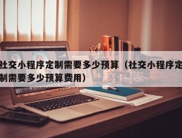 社交小程序定制需要多少预算（社交小程序定制需要多少预算费用）