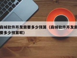 商城软件开发需要多少预算（商城软件开发需要多少预算呢）