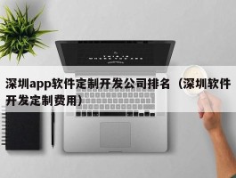 深圳app软件定制开发公司排名（深圳软件开发定制费用）
