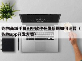 购物商城手机APP软件开发后期如何运营（购物app开发方案）