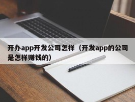 开办app开发公司怎样（开发app的公司是怎样赚钱的）