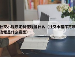 社交小程序定制流程是什么（社交小程序定制流程是什么意思）