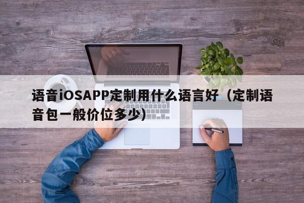 语音iOSAPP定制用什么语言好(定制语音包一般价位多少)