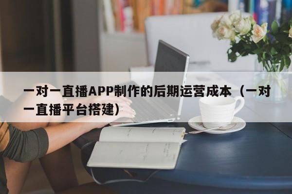 一对一直播APP制作的后期运营成本(一对一直播平台搭建)