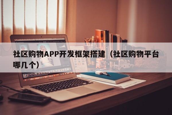 社区购物APP开发框架搭建(社区购物平台哪几个)