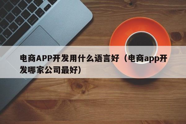 电商APP开发用什么语言好(电商app开发哪家公司最好)