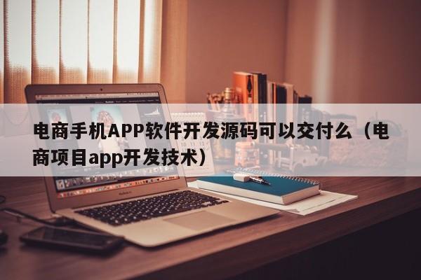 电商手机APP软件开发源码可以交付么(电商项目app开发技术)