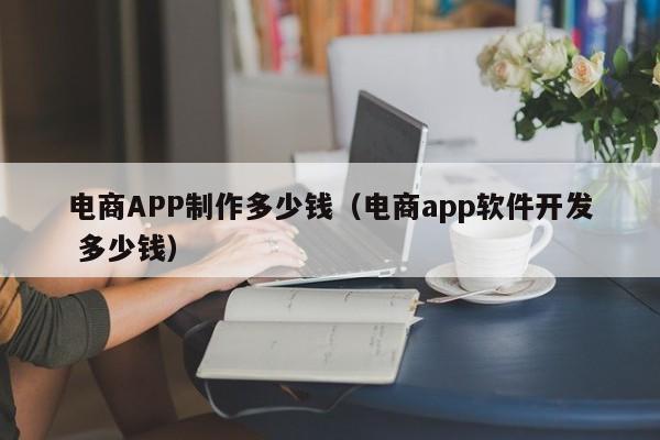 电商APP制作多少钱(电商app软件开发 多少钱)