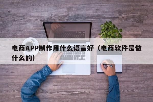 电商APP制作用什么语言好(电商软件是做什么的)
