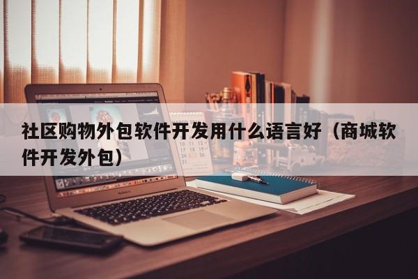 社区购物外包软件开发用什么语言好(商城软件开发外包)