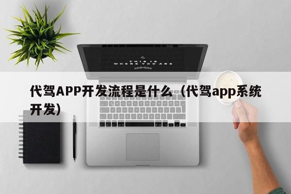 代驾APP开发流程是什么(代驾app系统开发)