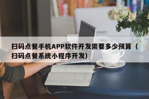 扫码点餐手机APP软件开发需要多少预算(扫码点餐系统小程序开发)