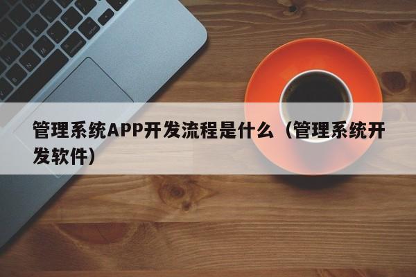管理系统APP开发流程是什么(管理系统开发软件)