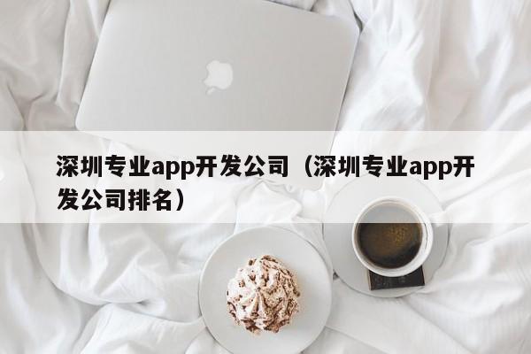 深圳专业app开发公司(深圳专业app开发公司排名)