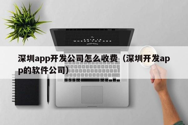 深圳app开发公司怎么收费(深圳开发app的软件公司)