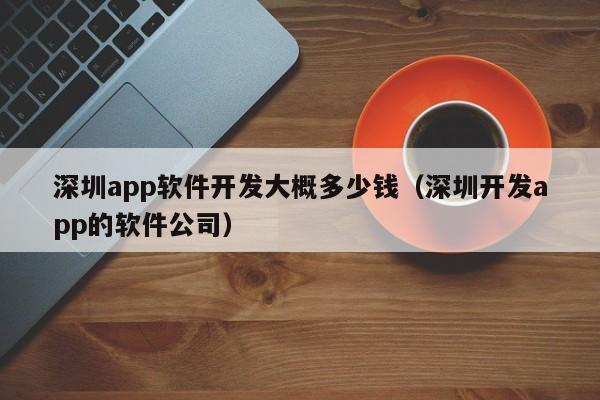 深圳app软件开发大概多少钱(深圳开发app的软件公司)