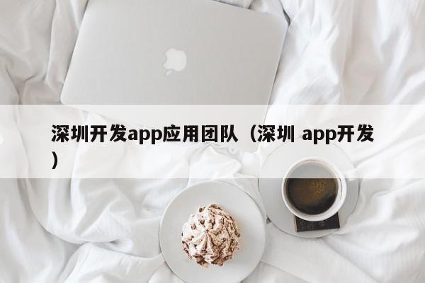 深圳开发app应用团队(深圳 app开发)