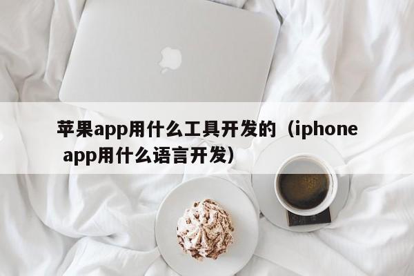 苹果app用什么工具开发的(iphone app用什么语言开发)
